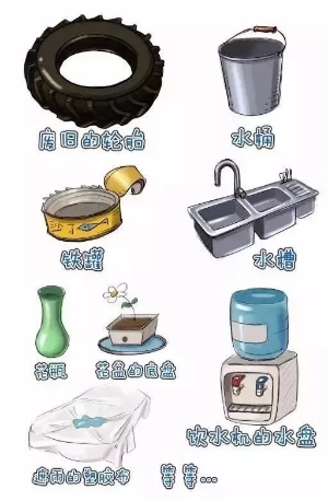 登革热1.jpg