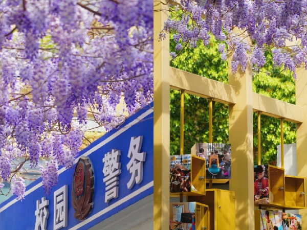 春日限定！海曙“校花”battle开启，谁是你心中的NO.1？