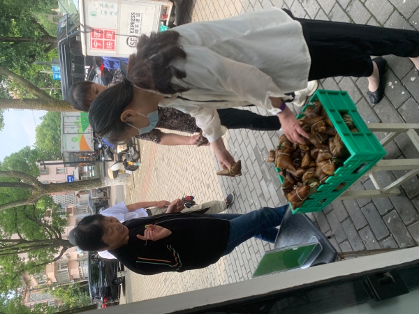 柳锦端午2.jpg
