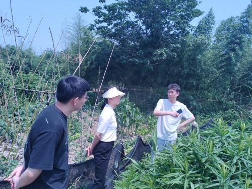 2图为审计人员现场核查临时用地.jpg